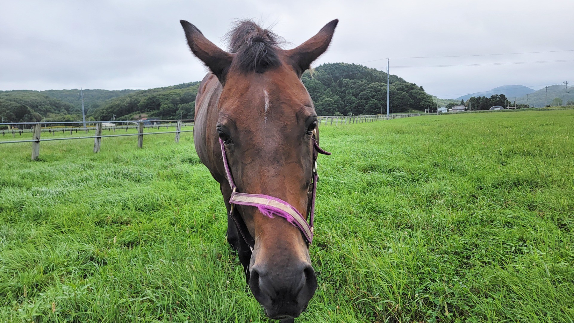 e00e8442ec2ad65fd5ed7a87cbf6e92b-1760933849.jpg e00e8442ec2ad65fd5ed7a87cbf6e92b-1760933849.jpg